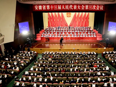 星星集團(tuán)黨委書記、董事長(zhǎng)管傳玉參加安徽省第十三屆人民代表大會(huì)