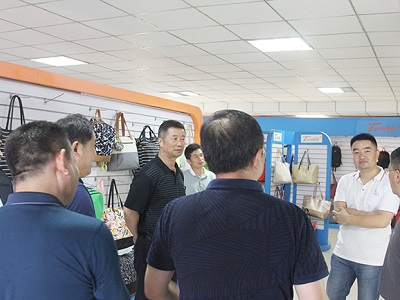 六安市人大常委會副主任劉連生深入安徽星星集團走訪調(diào)研-4