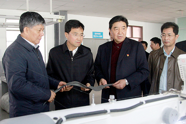 安徽省人大常委會(huì)劉明波副主任蒞臨集團(tuán)考察調(diào)研