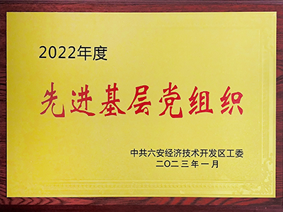 安徽星星集團(tuán)黨委榮獲開發(fā)區(qū)“先進(jìn)基層黨組織”榮譽(yù)稱號