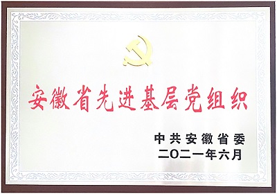 先進(jìn)基層黨組織獎(jiǎng)牌